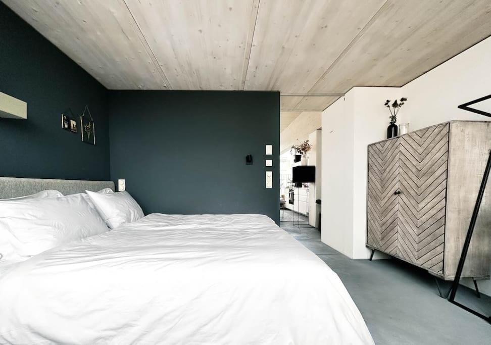 Architect's Penthouse With Rooftop In Kreuzberg Berlino